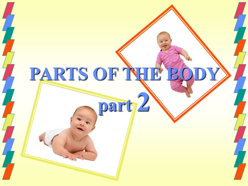 PARTS OF THE BODY part 2